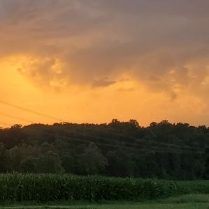 Meet your Posher, Lilly